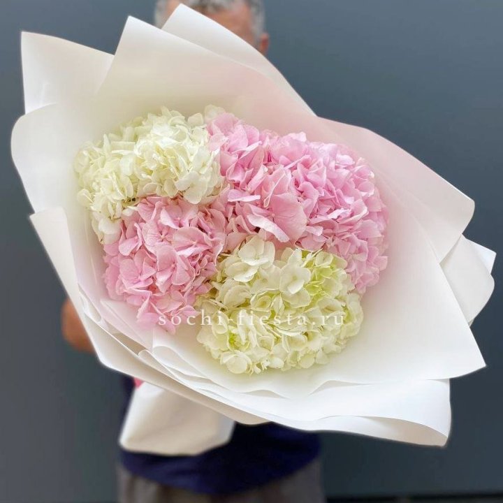 Букет гортензий №5 в Вологде