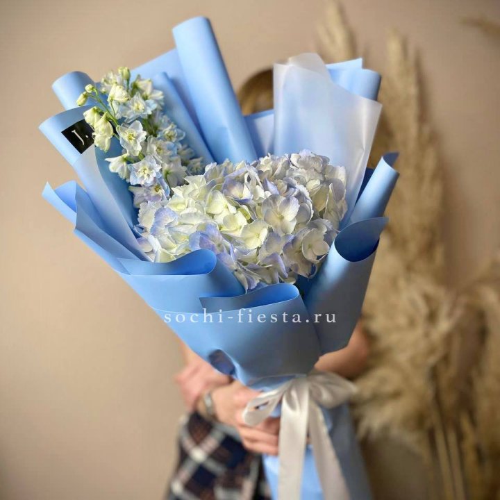 Гортензия "Блю скай" в Вологде