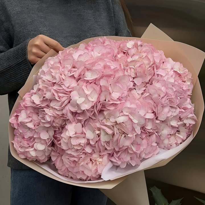 Гортензия  "РОЗЕ" в Вологде