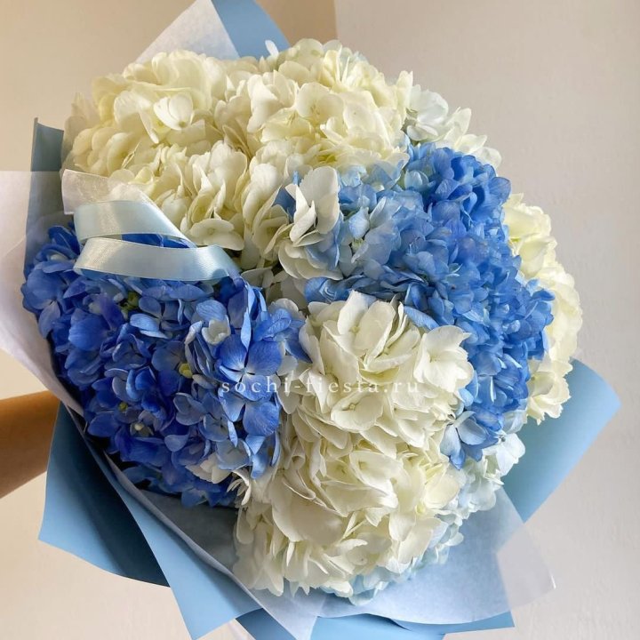 Букет гортензий "Голубая лаза" в Вологде