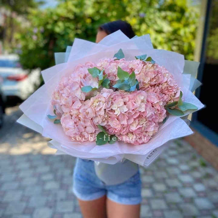 5 розовых гортензий  в Вологде