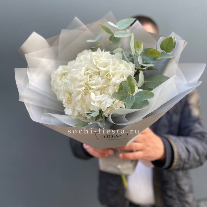  Букет  из белой гортензии в Вологде
