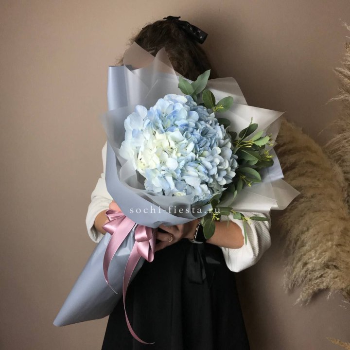 Гортензия Уно в Вологде