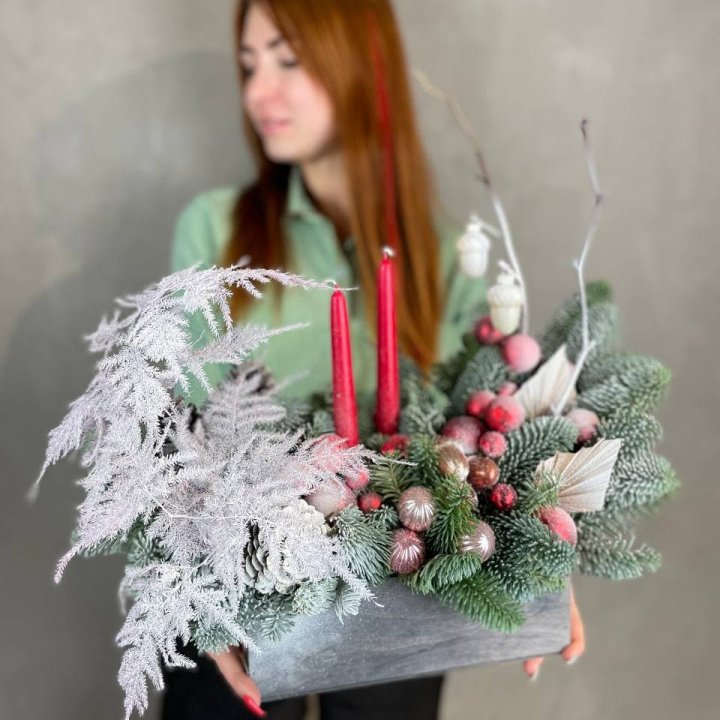 Бокс красный с нобилисом в Вологде