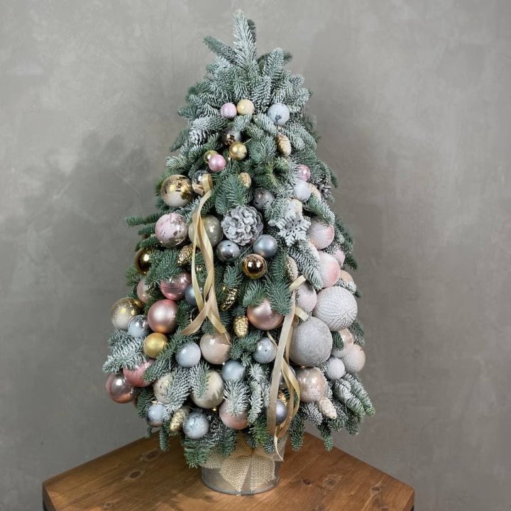 Новогодняя ёлка из веток датского нобилиса в Вологде