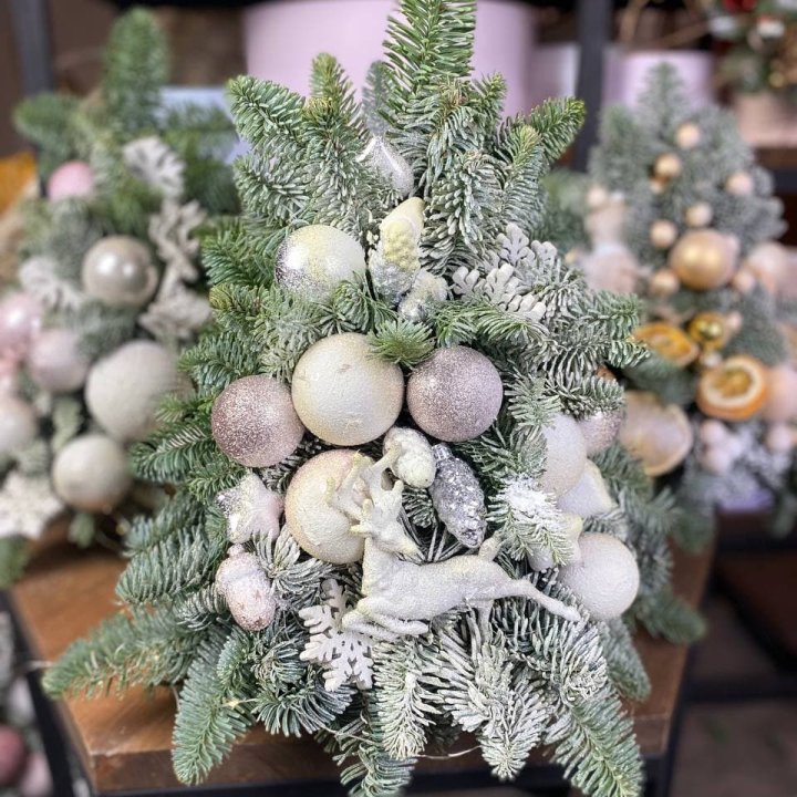 Ёлочка "Хепи крисмас" в Вологде