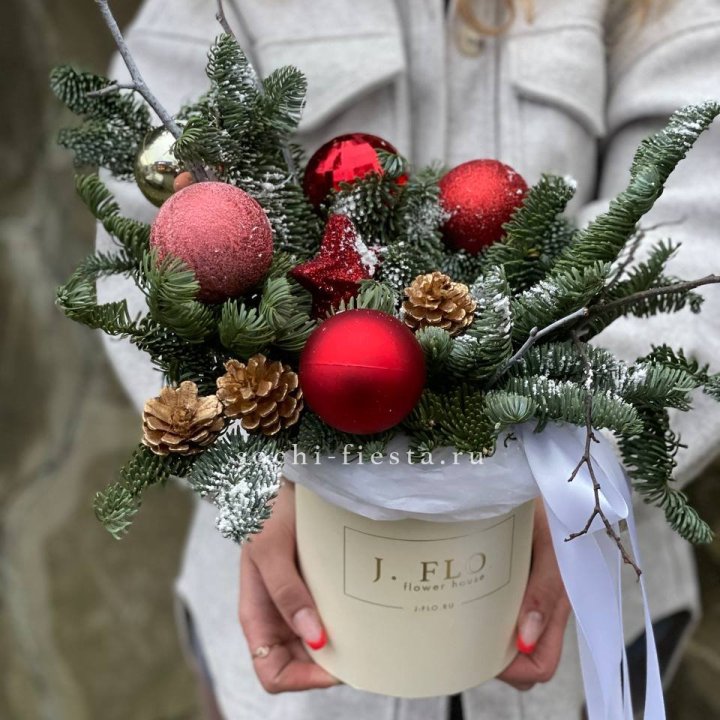 Новогодняя композиция в коробке ред в Вологде