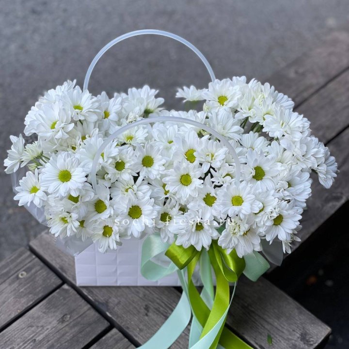 Сумка с хризантемами ромашками в Вологде