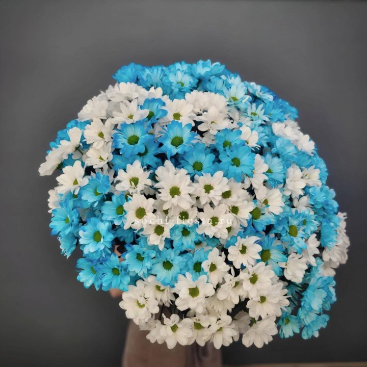  Букет хризантем микс в Вологде