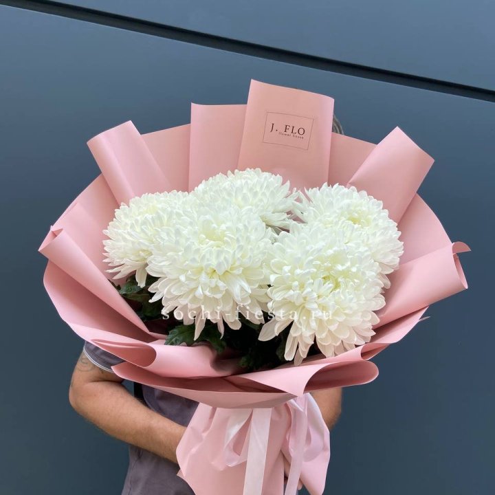 Профитроли №2 в Вологде