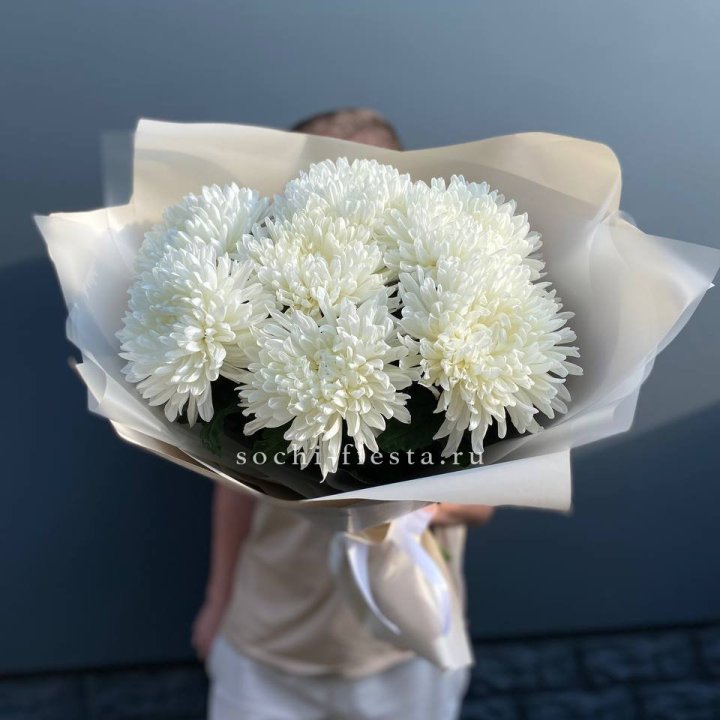 Профитроли в Вологде