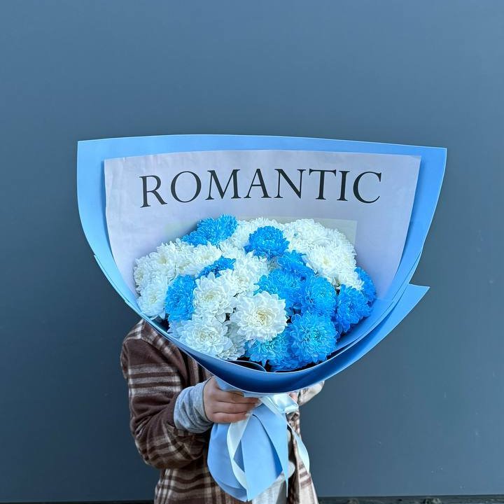 Дуо хризантем в Вологде