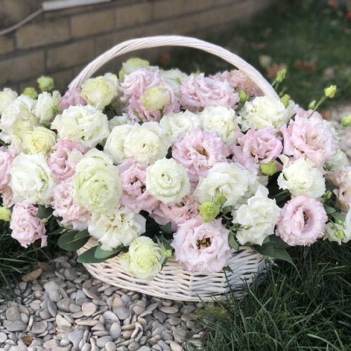 Корзина с эустомой в Вологде