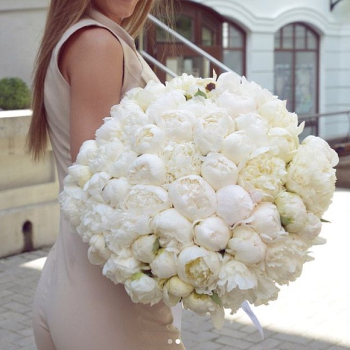 51 белый пион в Вологде