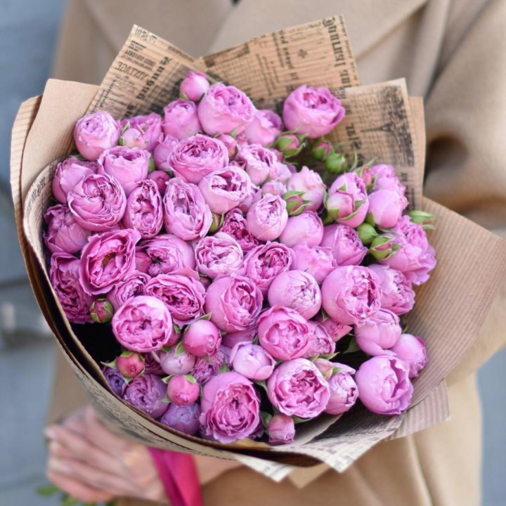 Роза Мисти Баблс в Вологде