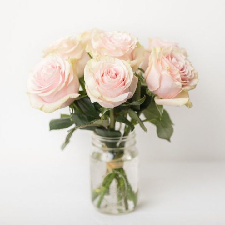 7 кремовых роз в Вологде