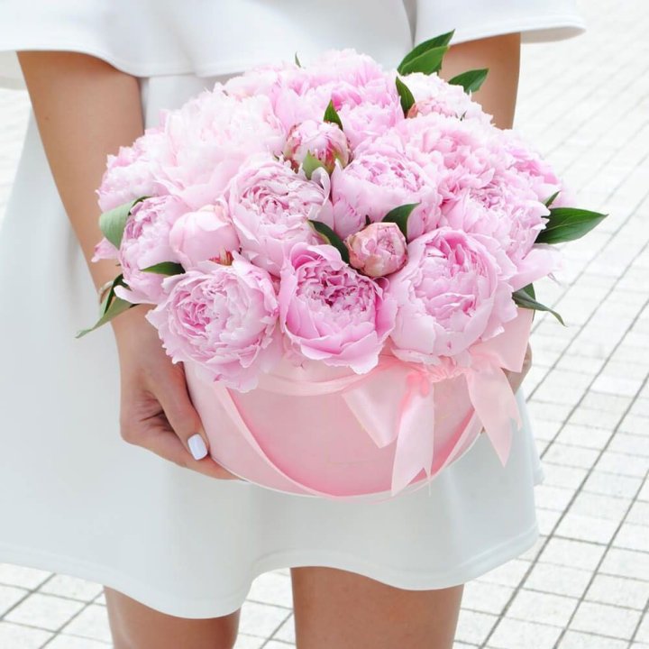 Пионы в шляпной коробке в Вологде