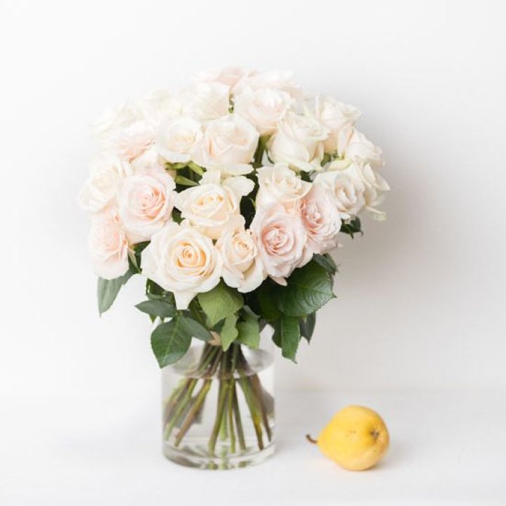 25 кремовых роз в Вологде