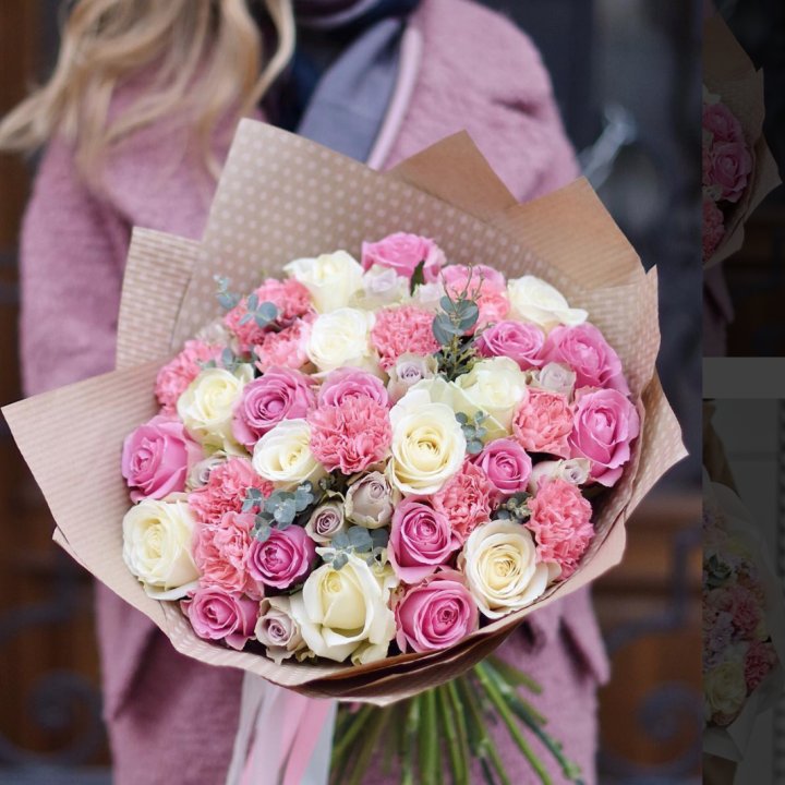 Фиона в Вологде