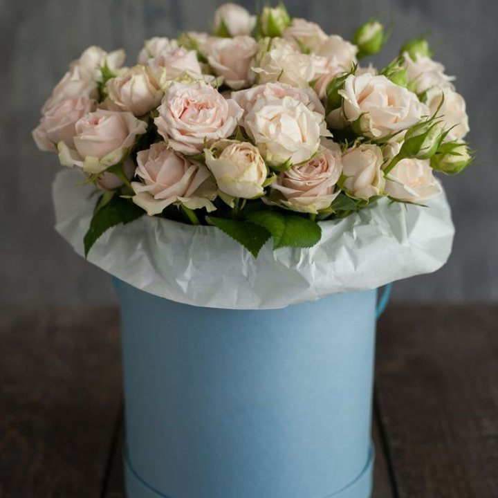 Бокс с бомбастиком в Вологде