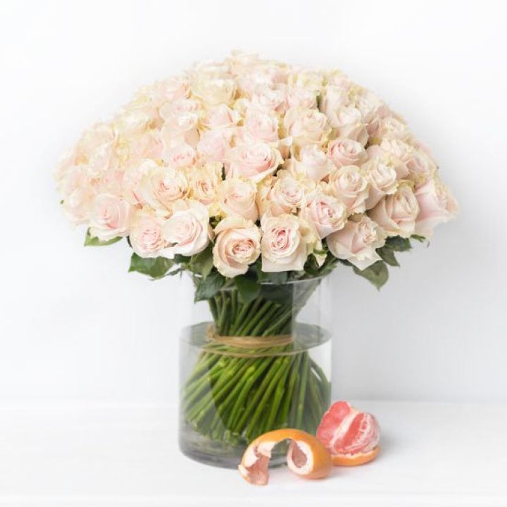 101 кремовая роза в Вологде