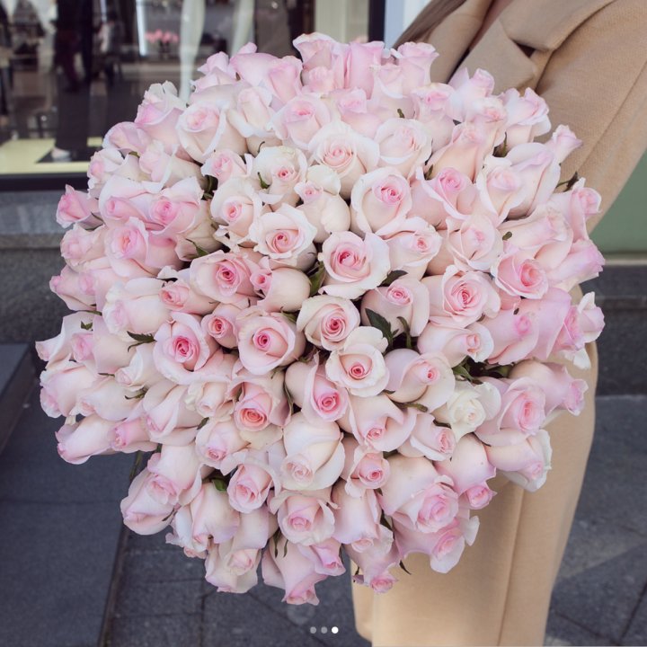 Розы "Пинк бум" в Вологде