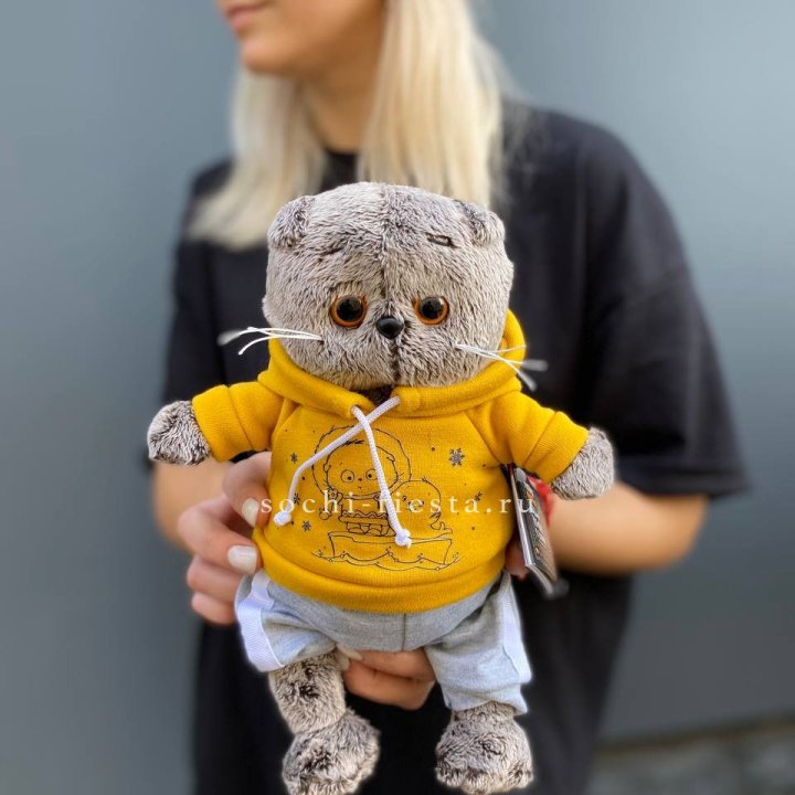 Кот Басик в худи в Вологде