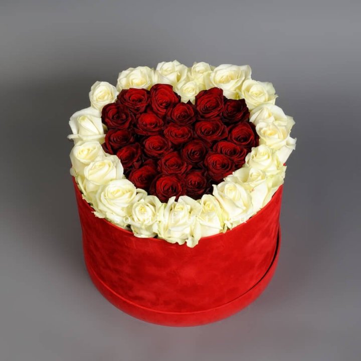 39 красных и белых роз в цилиндре в Вологде