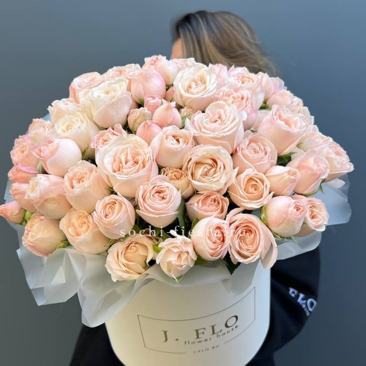 Бомбастик бокс Премьер в Вологде