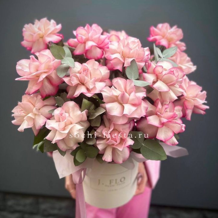 17 Французских  роз Венди в боксе в Вологде