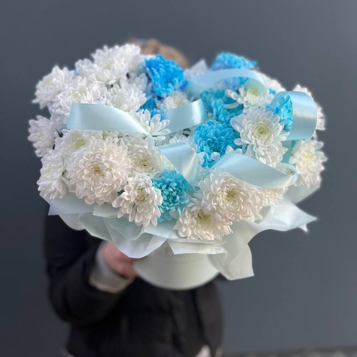 Хризнтемы в боксе в Вологде