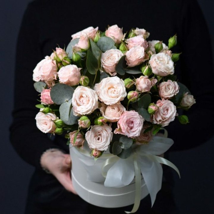 Бомбастик бокс №2 в Вологде