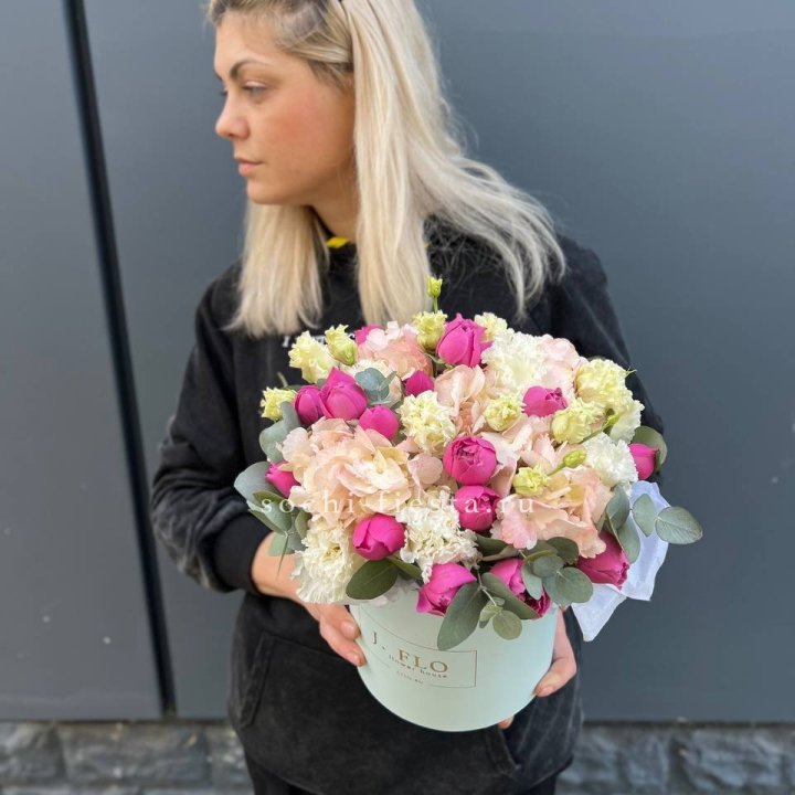 Сборный бокс премьер в Вологде