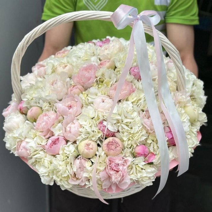 Премиум корзина гортензий и пионов в Вологде