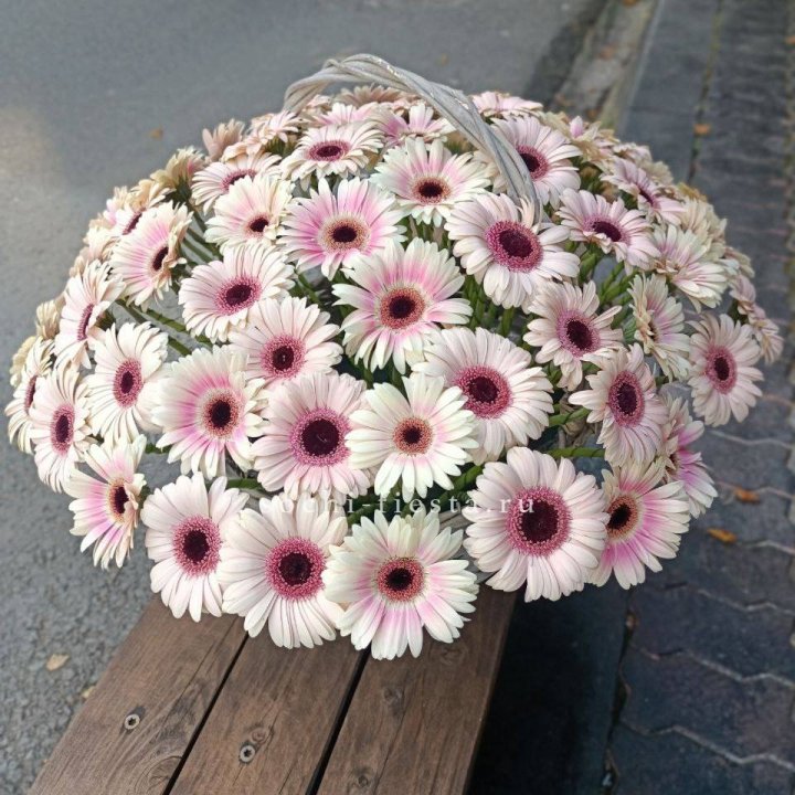 Корзина с герберами  в Вологде