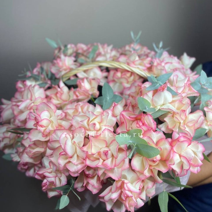 51 джумилия  в корзине   в Вологде