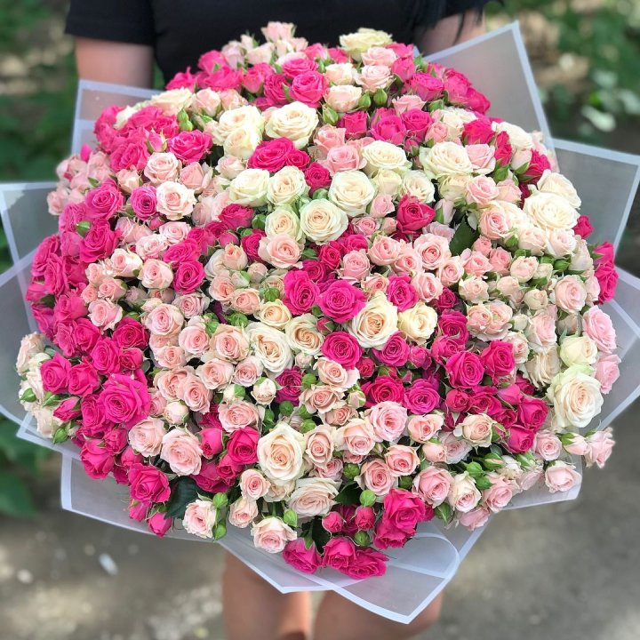 101 кустовая роза в Вологде