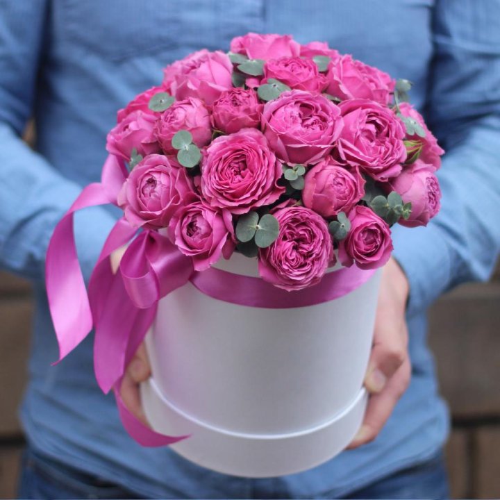 Бокс мисти баблс в Вологде