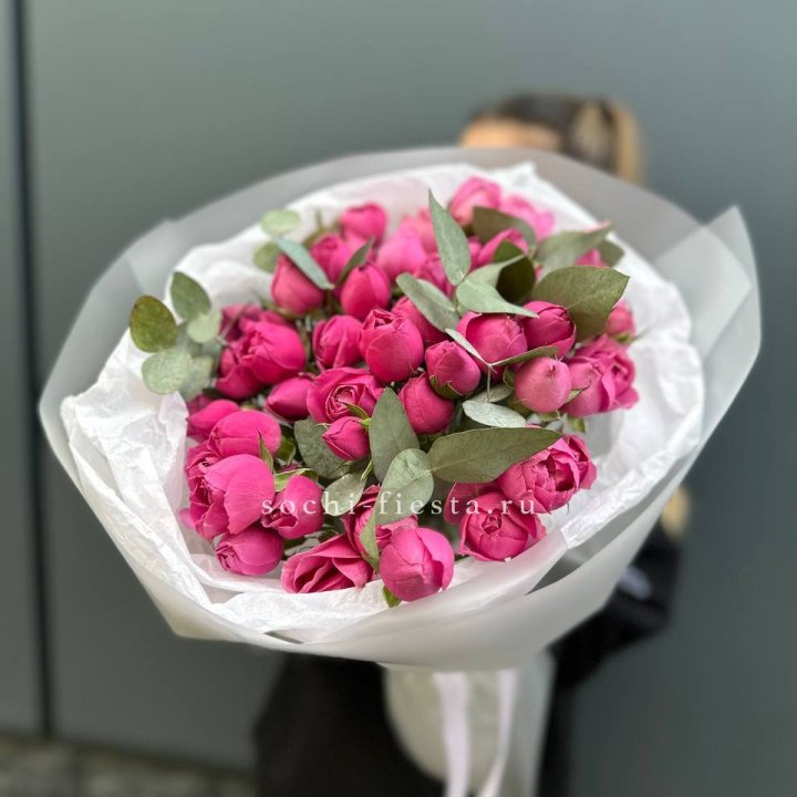 17 Мисти бабблс в Вологде