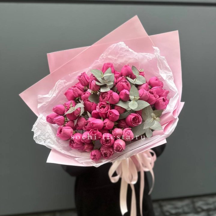 25 Мисти бабблс в Вологде