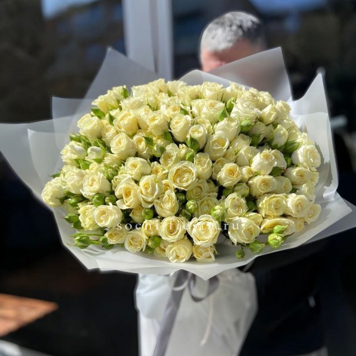 Белые кустовые розы 31 шт в Вологде
