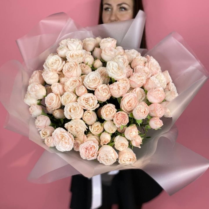 Carina в Вологде