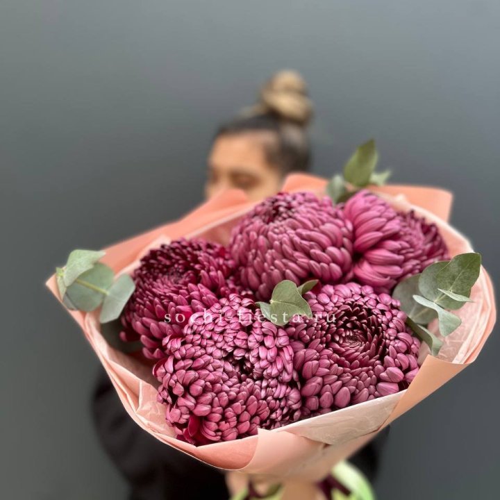 Хризантемы  Бигуди  в Вологде