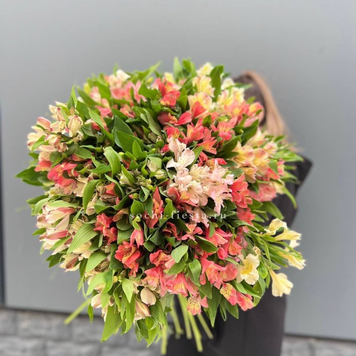 51 альстромерия в Вологде