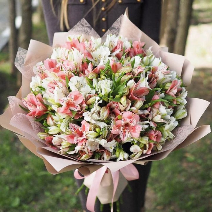 Букет альстромерий "ВАУ" в Вологде