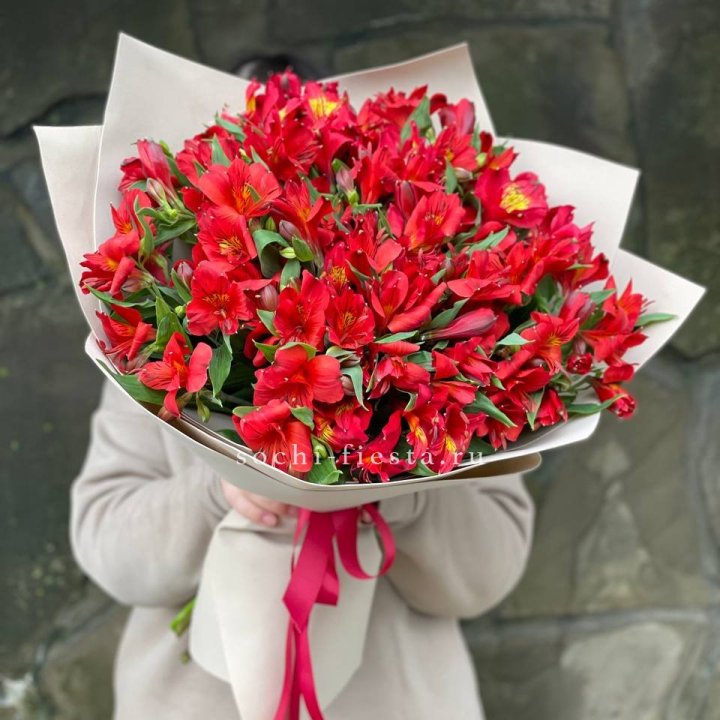 51 альстромерия в Вологде