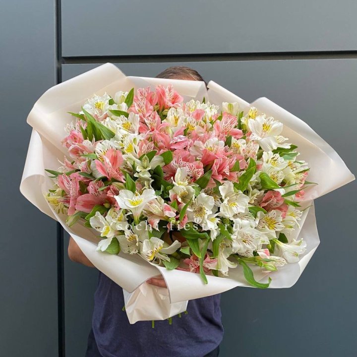 39 альстромерий в Вологде