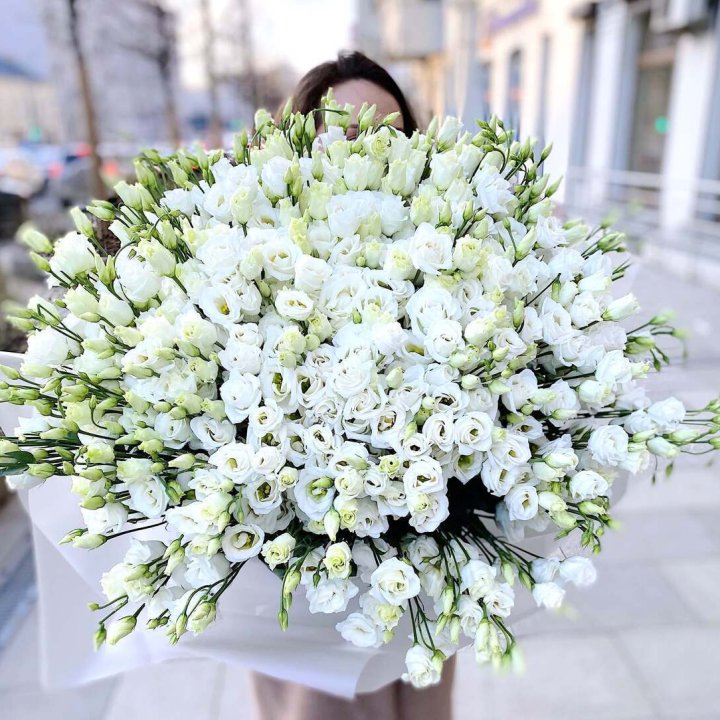 101 белая эустома в Вологде