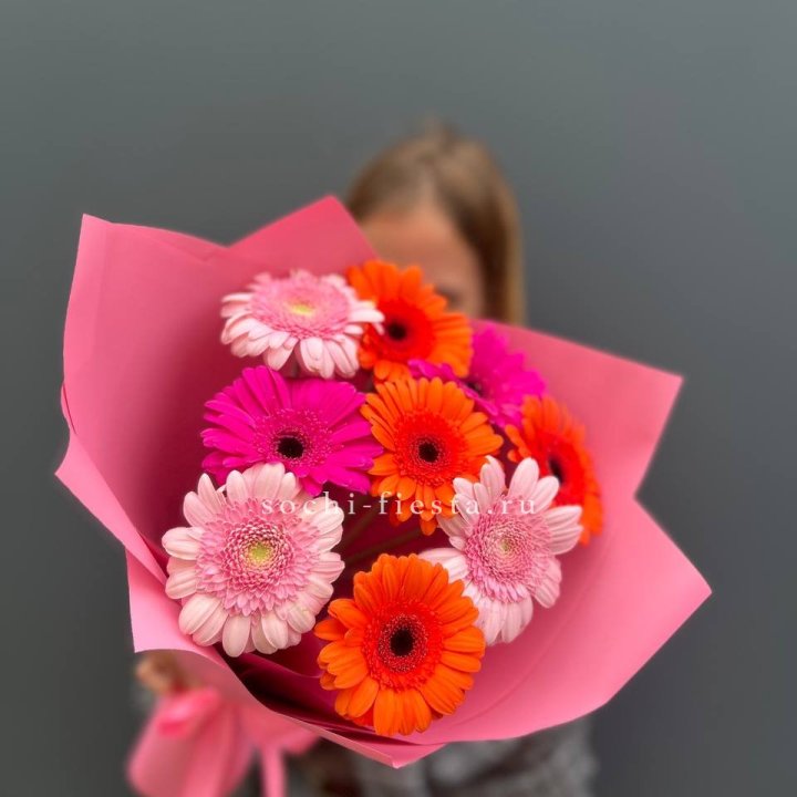 Краски в Вологде