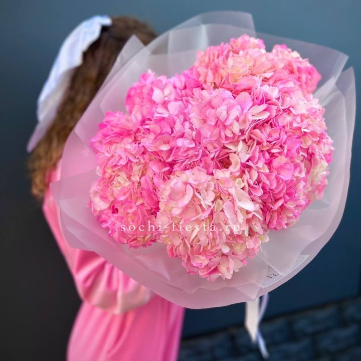 7 ярко розовых гортензий в Вологде